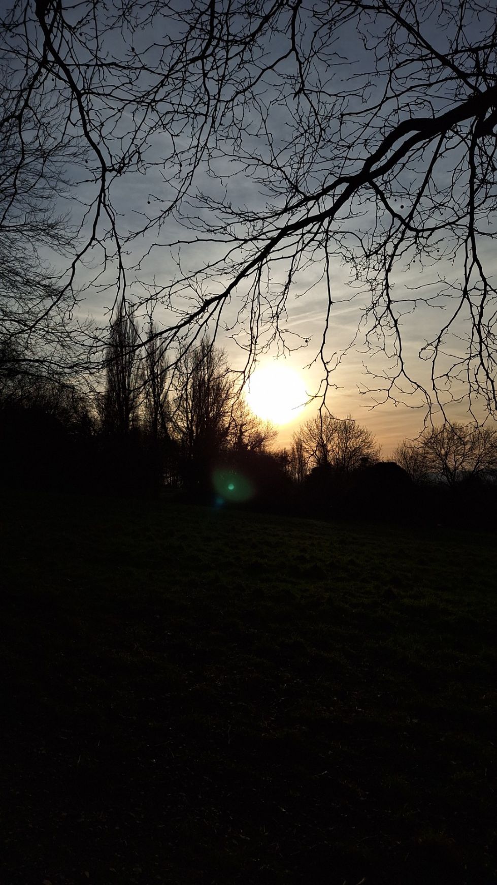 Night Dusk