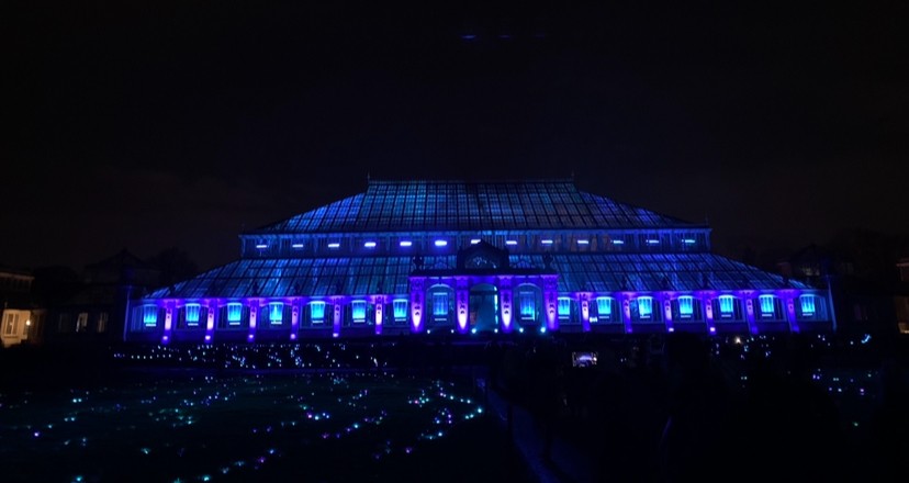 Illumintaion