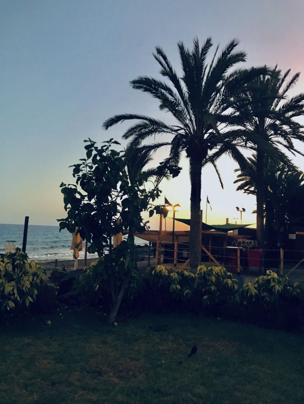 Holiday