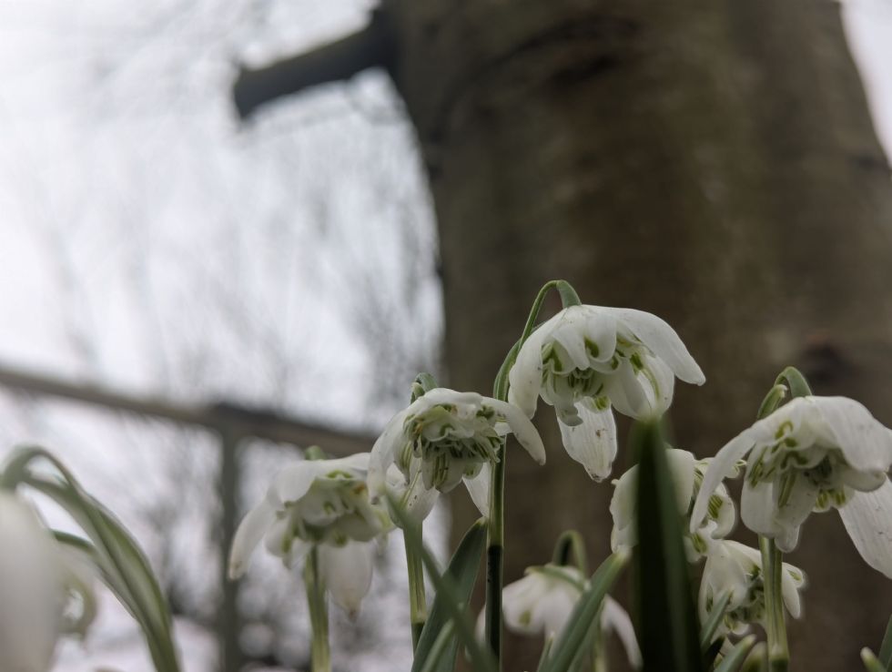 Spring