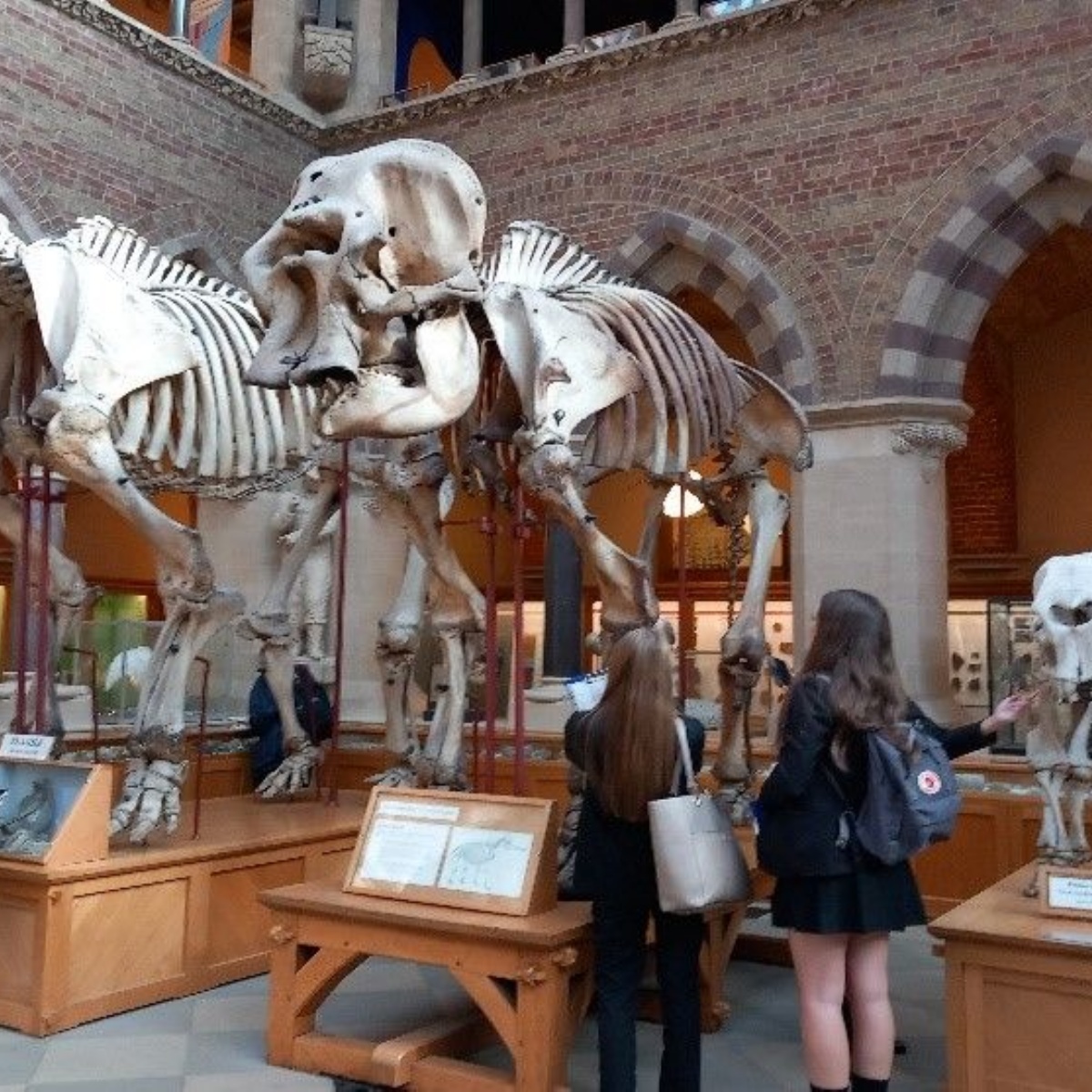 severn-vale-school-art-students-trip-to-oxford